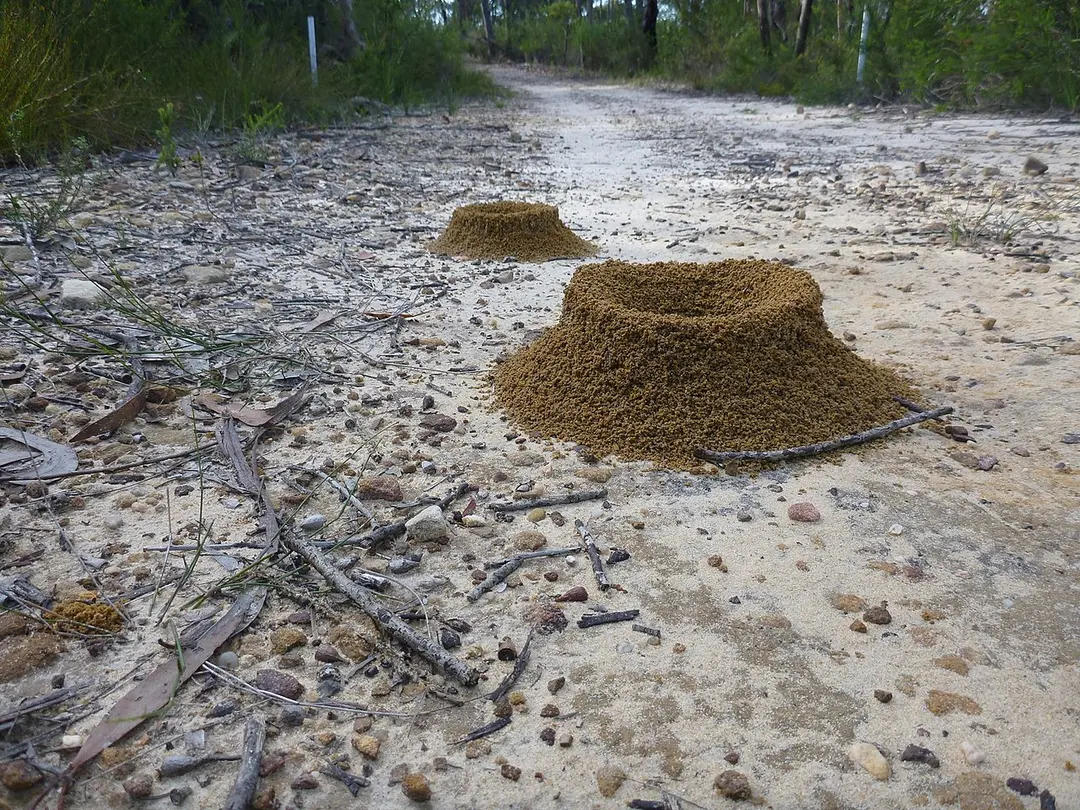 Brisbane Water National Park