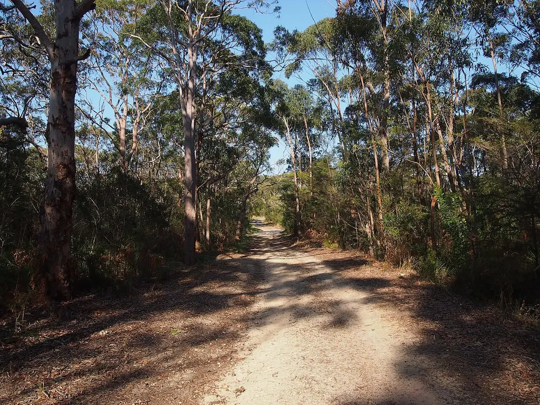 Brisbane Water National Park