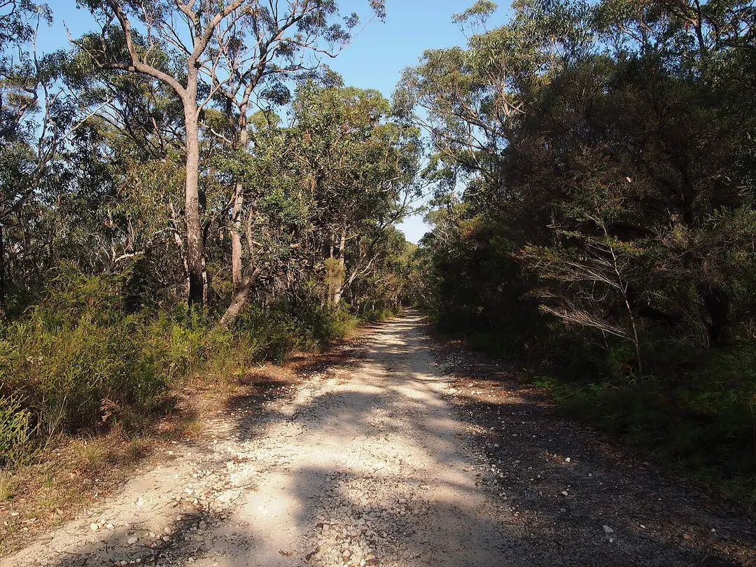 Brisbane Water National Park