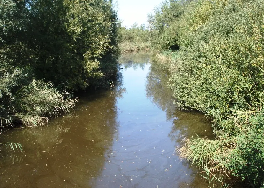 Aalbek