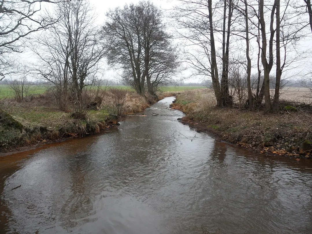 Aalbek