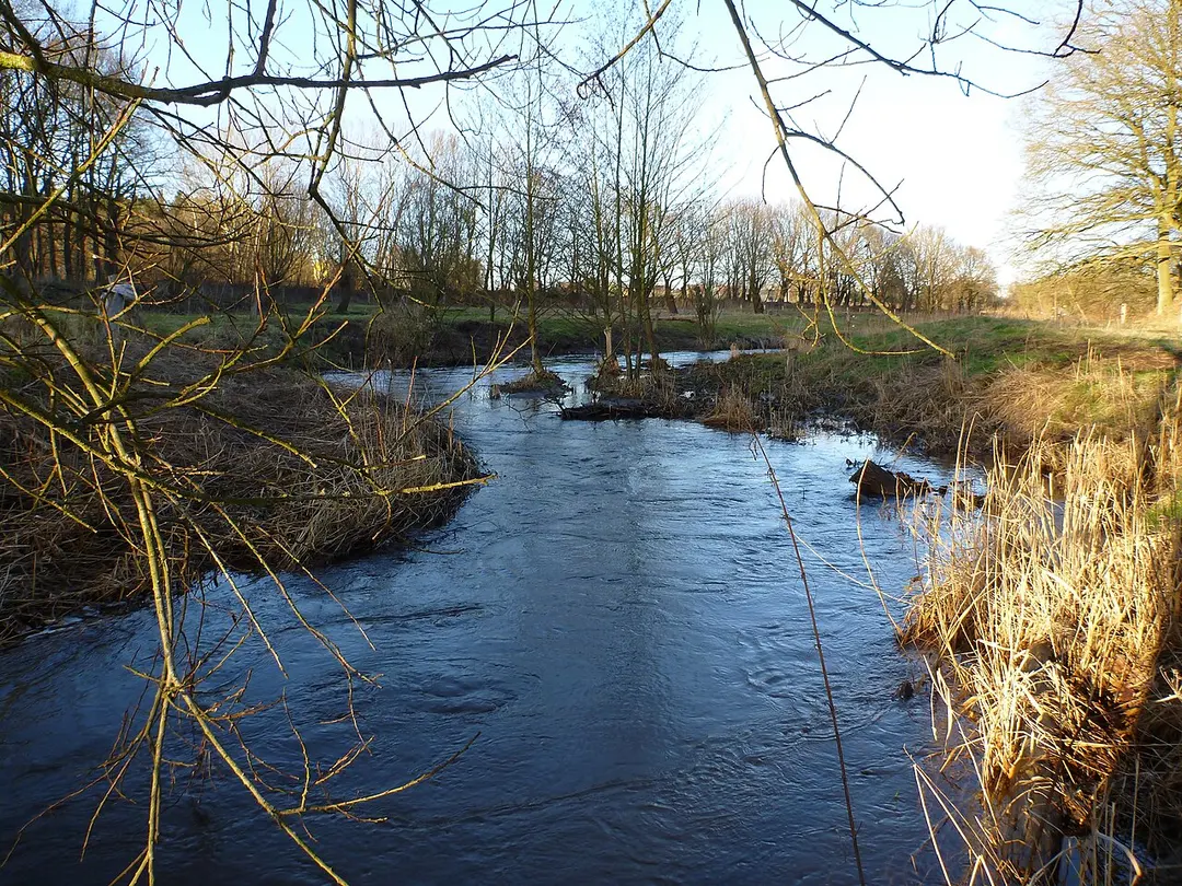 Aalbek