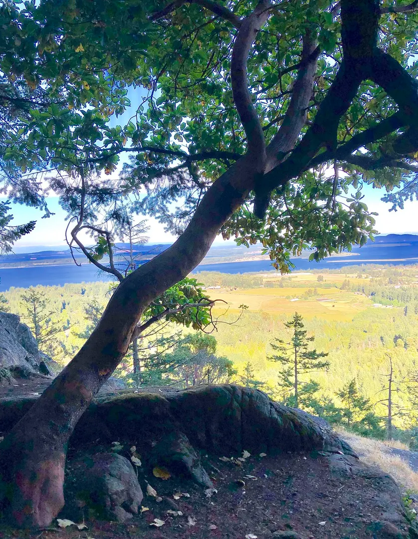 ȽÁU,WELṈEW̱/John Dean Park