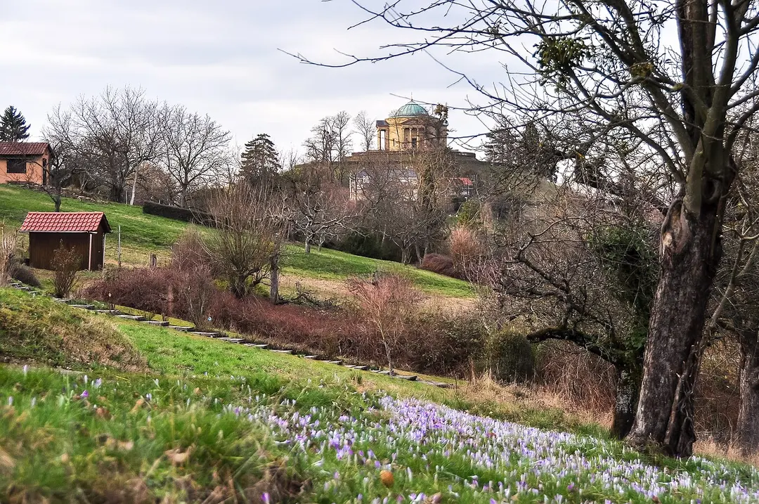 Burg Wirtemberg