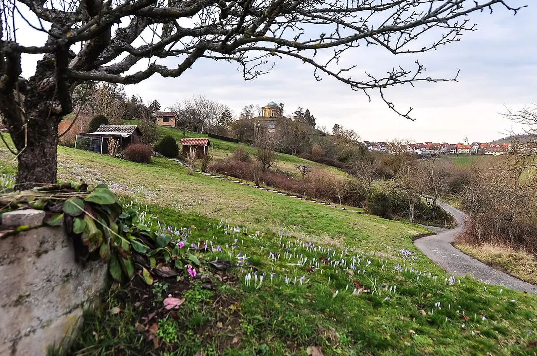 Burg Wirtemberg