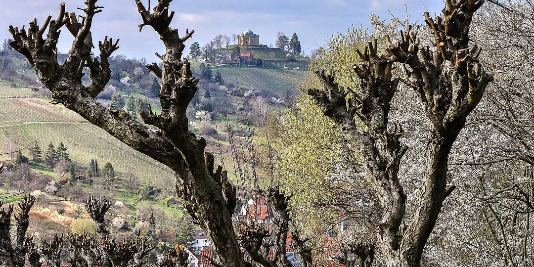 Burg Wirtemberg