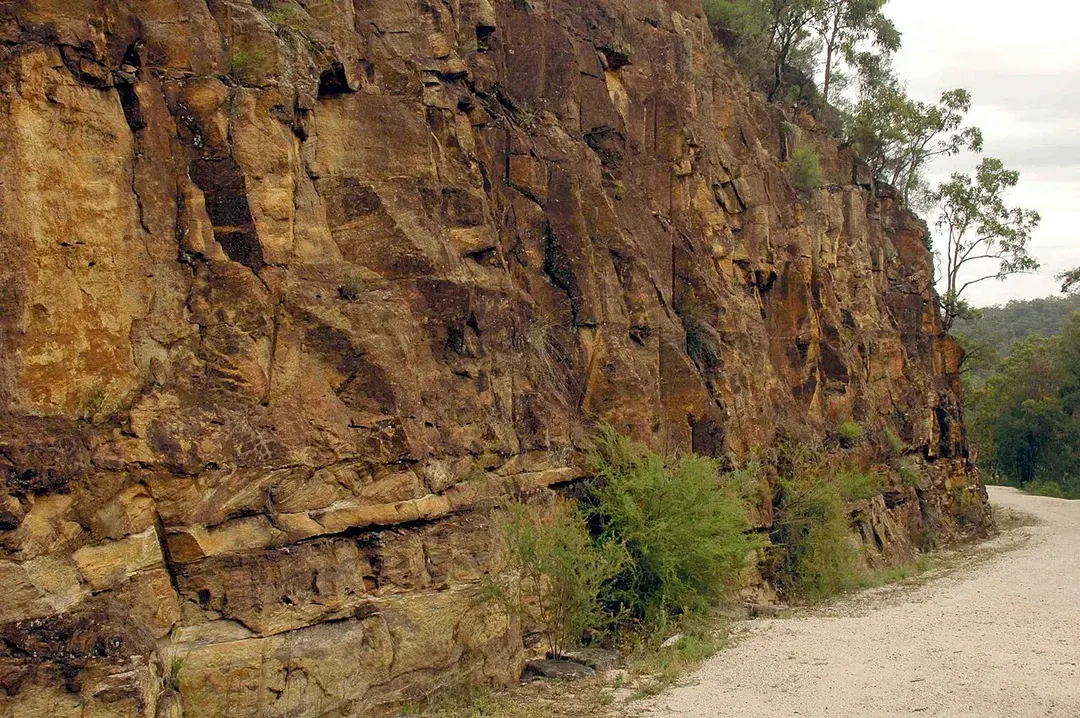 Dharug National Park
