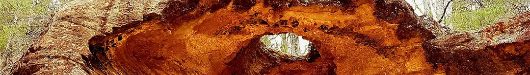 Dharug National Park